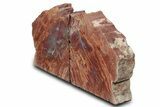 Tall Arizona Petrified Wood Bookends - Red and Purple #382171-2